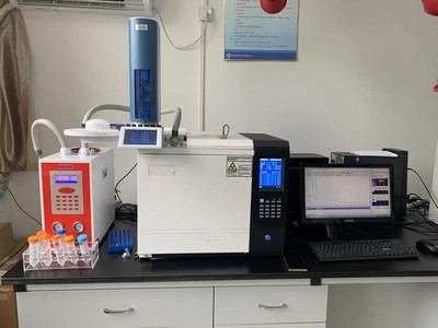 GC9310-VI氣相色譜儀